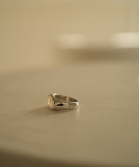 Briller Signet Pebble D S Ring