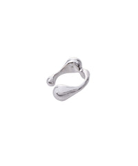 Cellule W M Ring