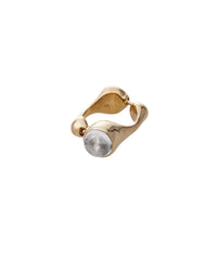 Cellule W QTZ M Ring