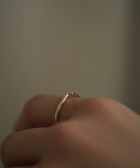 Frost K10MIX DP Ring