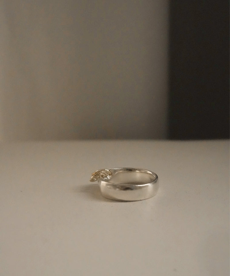 Frost Circle3 Curve M Ring