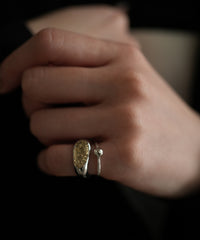 Briller Signet Pebble D P Ring