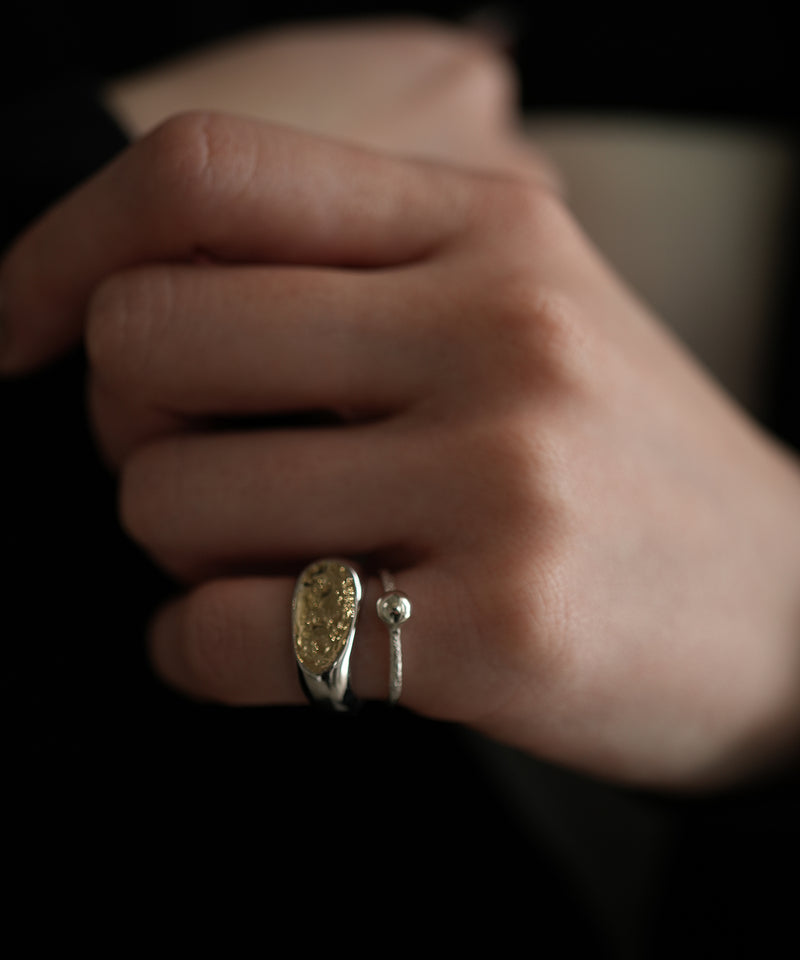 Briller Signet Pebble D P Ring