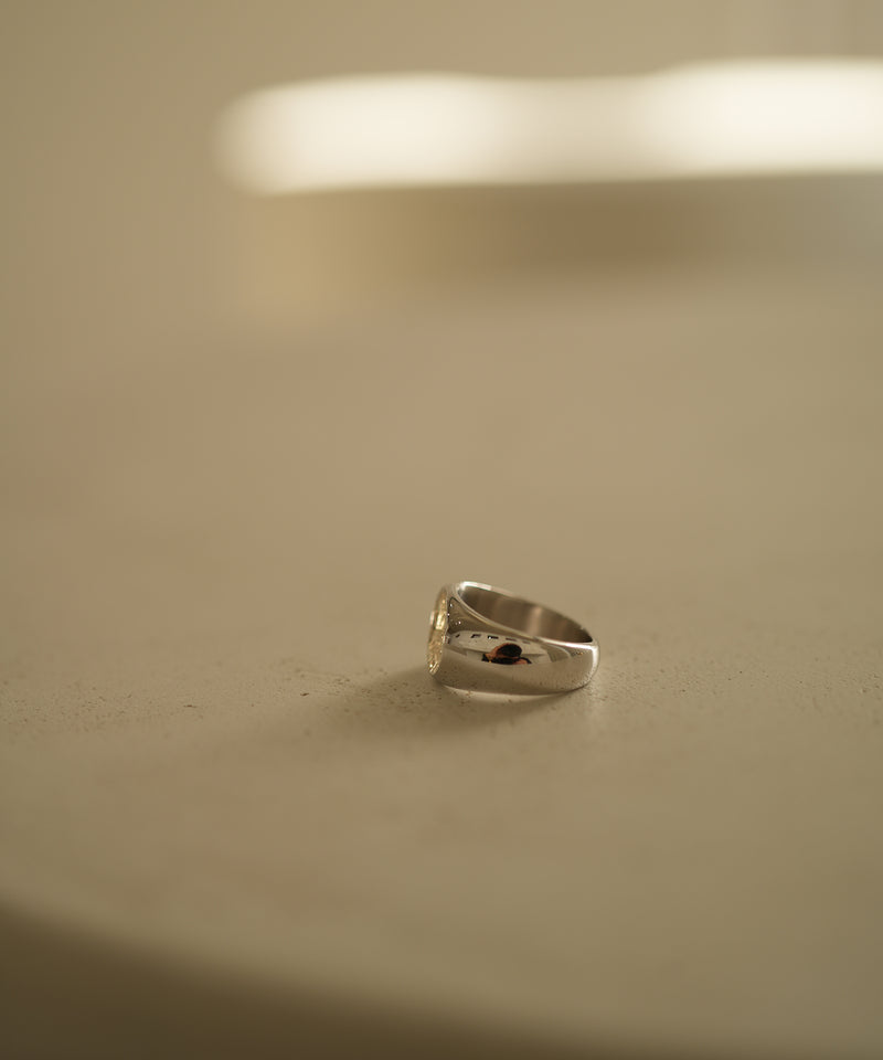 Briller Signet Pebble T P Ring