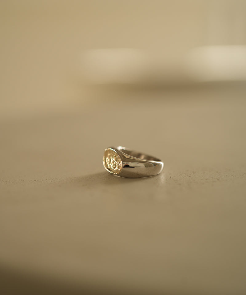 Briller Signet Pebble D P Ring