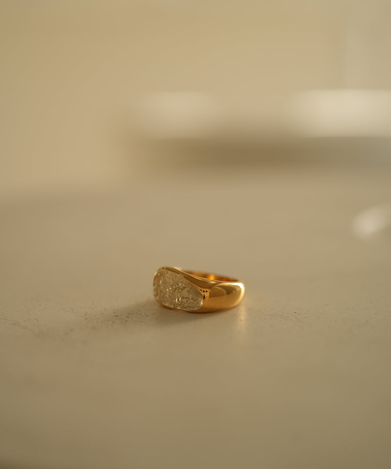 Briller Signet Pebble D S Ring