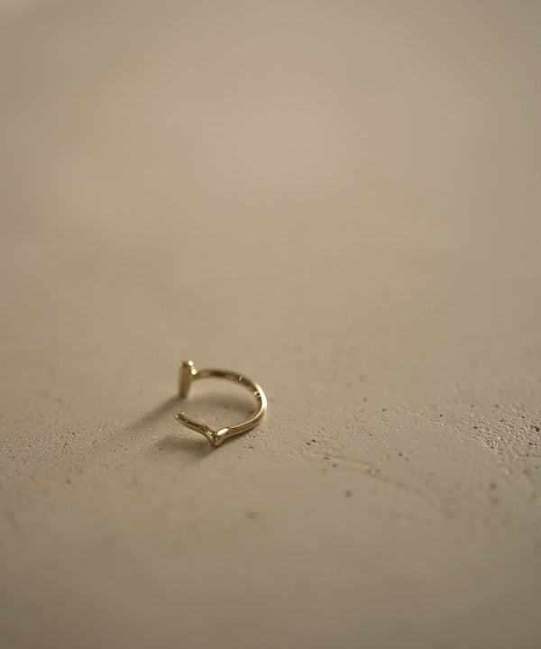 K10Symbol C S Lipcuff