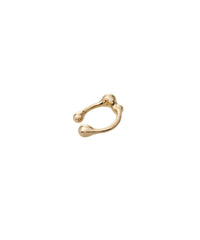 Cellule W P Ring