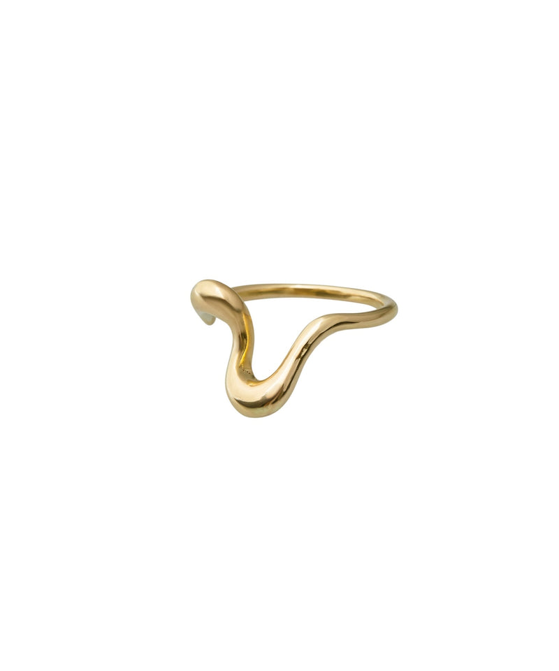 Body SL P Ring