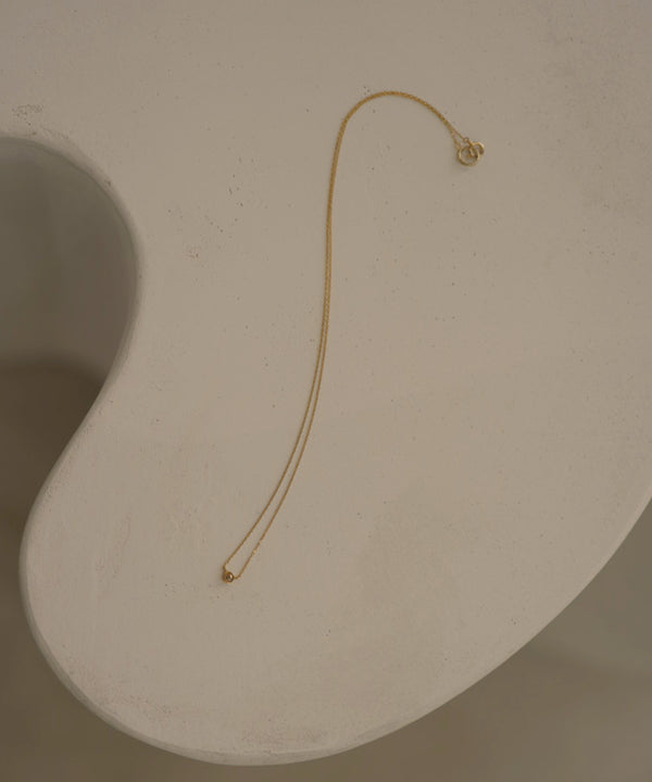 K10Frost Circle BR DIA Necklace