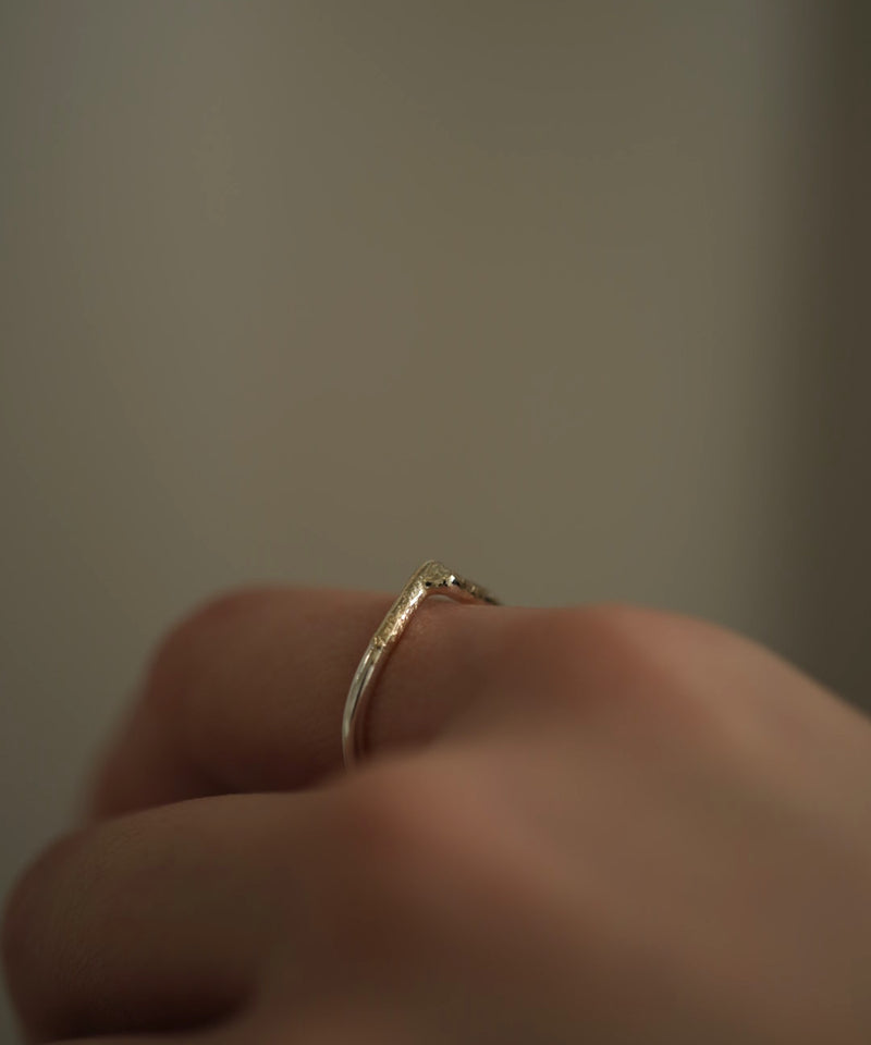 Frost K10MIX DP Ring