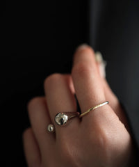 Frost K10MIX PG Ring