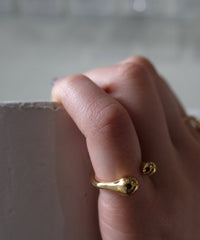 Cellule W P Ring