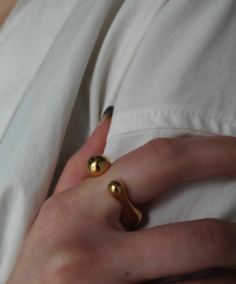 Cellule W M Ring