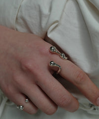 Cellule W P Ring