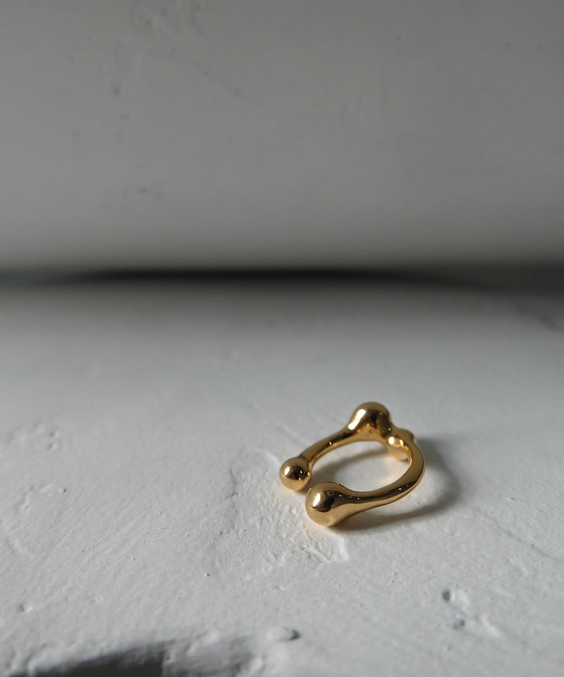 Cellule W P Ring