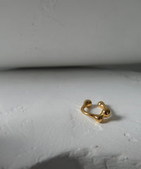 Cellule W P Ring
