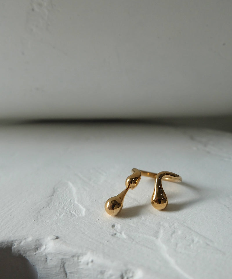 Cellule W Drop Ring