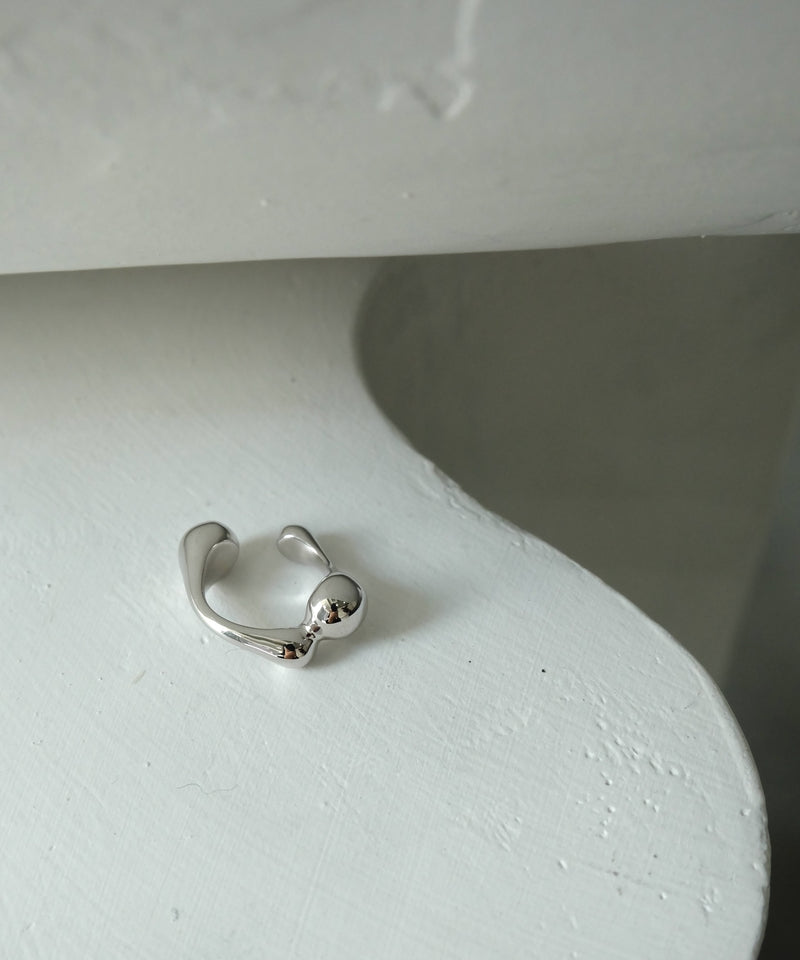 Cellule W M Ring