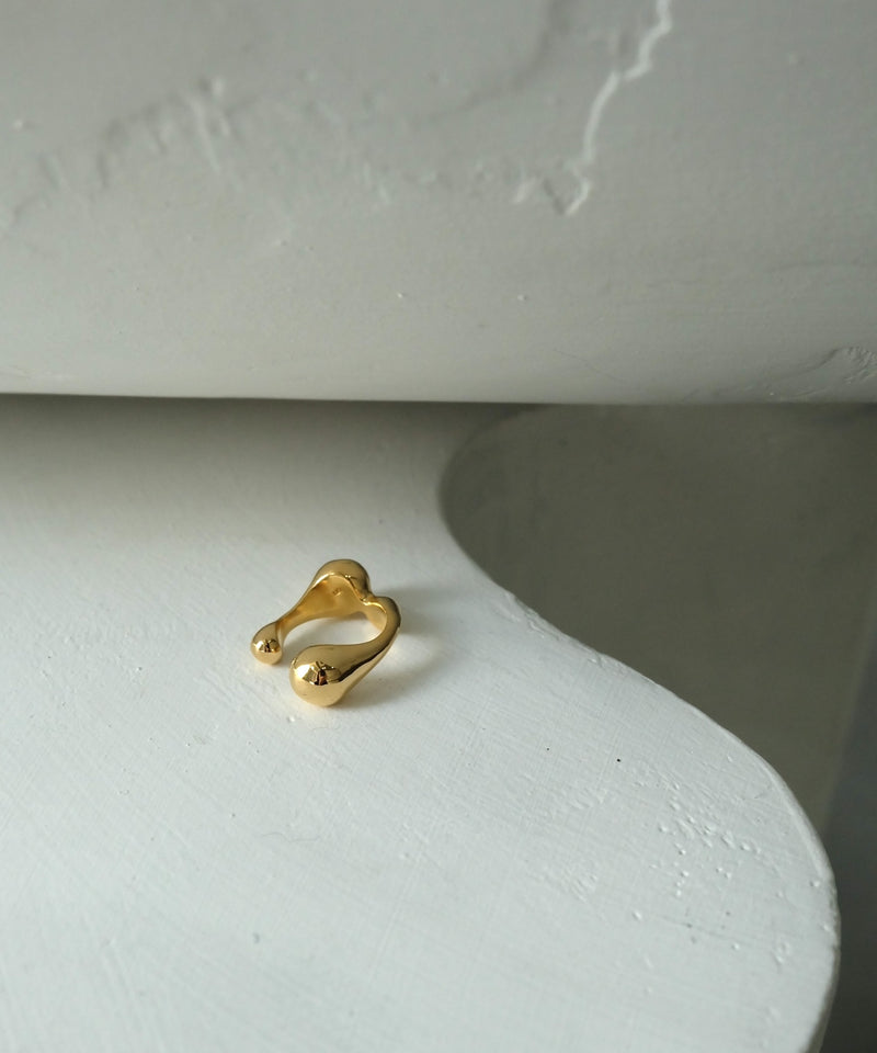 Cellule W M Ring