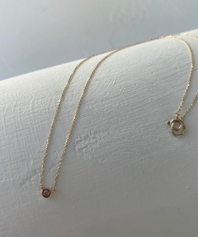 K10Frost Circle BR DIA Necklace
